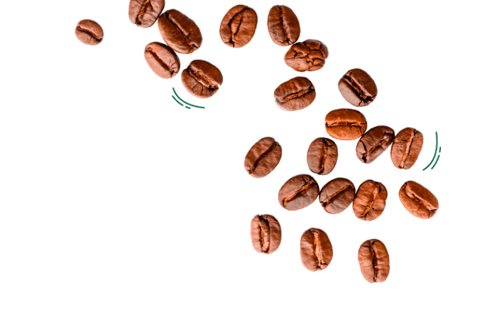 Starbucks Food